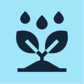 Water & Agriculture